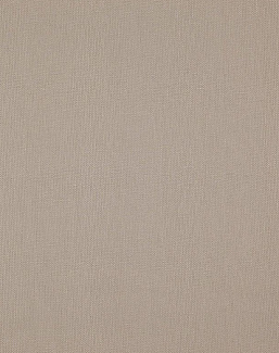 Ткань Daylight Canvas Canvas/Buff