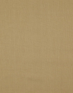 Ткань Daylight Canvas Canvas/Honey
