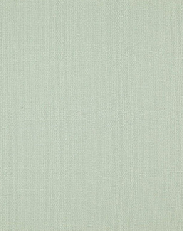 Ткань Daylight Canvas Canvas/Lichen