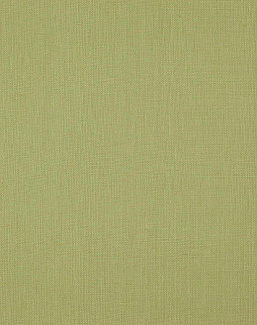 Ткань Daylight Canvas Canvas/Lizard