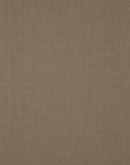 Ткань Daylight Canvas Canvas/Mushroom