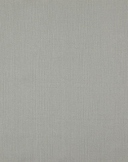 Ткань Daylight Canvas Canvas/Silver