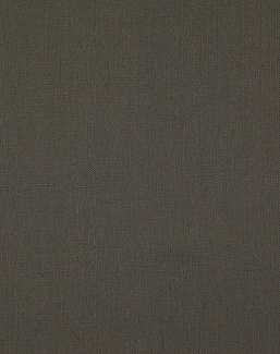 Ткань Daylight Canvas Canvas/Slate