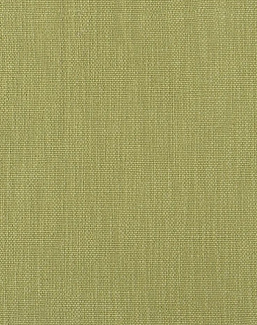 Ткань Designers Guild Tortona FDG3120/32