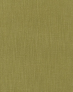 Ткань Designers Guild Tortona FDG3120/34