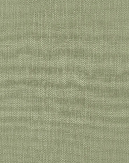 Ткань Designers Guild Tortona FDG3120/35