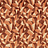 Ткань Kirkby Design Graphic Nature K5327/03