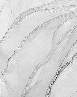 Панно и фотообои Ortograf Fluid Art 34214bw