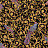 Обои A. S. Creation Versace 37053-1
