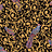 Обои A. S. Creation Versace 37053-1