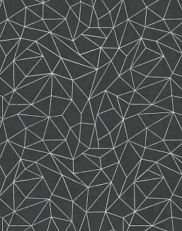 Обои Newmor Premier Geometrics-Lines/Dark