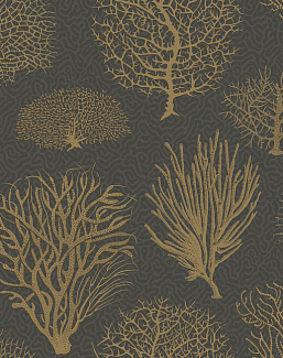 Обои Cole & Son Curio 107/2006