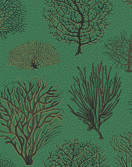 Обои Cole & Son Curio 107/2007
