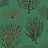 Обои Cole & Son Curio 107/2007