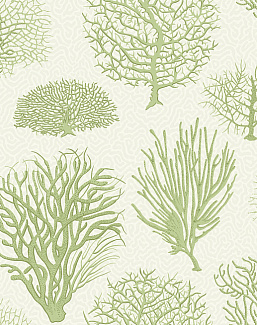 Обои Cole & Son Curio 107/2008