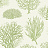 Обои Cole & Son Curio 107/2008