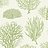 Обои Cole & Son Curio 107/2008
