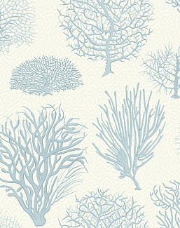 Обои Cole & Son Curio 107/2009