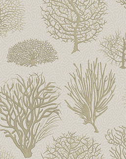 Обои Cole & Son Curio 107/2010