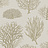 Обои Cole & Son Curio 107/2010