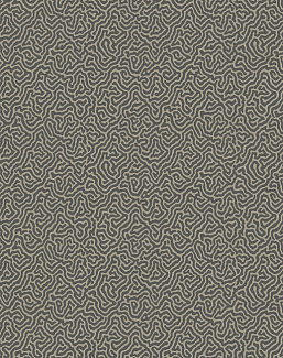 Обои Cole & Son Curio 107/4017
