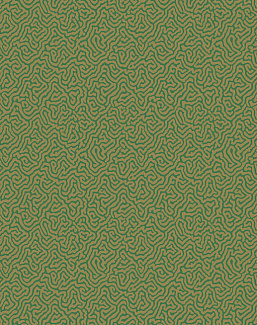 Обои Cole & Son Curio 107/4022