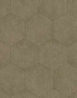 Обои Cole & Son Curio 107/6028