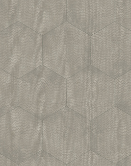 Обои Cole & Son Curio 107/6030