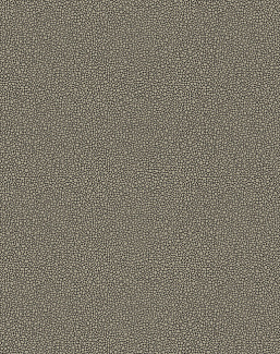 Обои Cole & Son Curio 107/9043