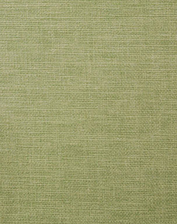 Ткань Ashley Wilde Lunar Lunar/Olive