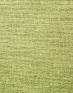 Ткань Ashley Wilde Lunar Lunar/Grass