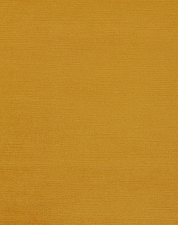 Ткань Clarke & Clarke Riva F1583/13