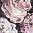 Ткань Clarke & Clarke Botanica F1088/01