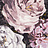 Ткань Clarke & Clarke Botanica F1088/01