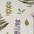 Ткань Clarke & Clarke Botanica F1089/01