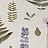 Ткань Clarke & Clarke Botanica F1089/01