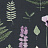 Ткань Clarke & Clarke Botanica F1089/03