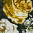 Ткань Clarke & Clarke Botanica F1088/04