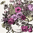 Ткань Clarke & Clarke Floribunda F0472/06