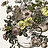 Ткань Clarke & Clarke Floribunda F0472/05
