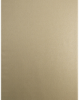 Обои Trend Vern Yip W30016/05
