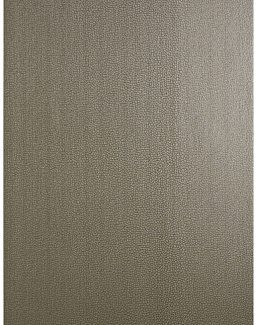 Обои Trend Vern Yip W30016/06