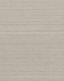Обои Arte Silkx 67007