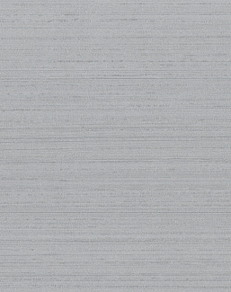 Обои Arte Silkx 67009