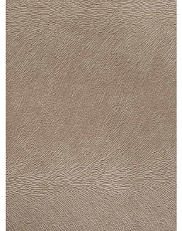 Обои Foldecor Sample Catalogue 82/Champagne