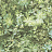 Обои Aura Evergreen 7320