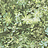 Обои Aura Evergreen 7320