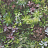 Обои Aura Evergreen 7322