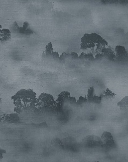 Обои Jim Thompson Atmosphere JT021048001
