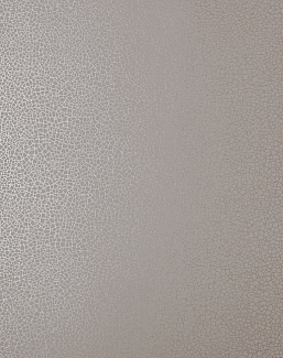 Обои 1838 Wallcoverings Elodie 1907-141-02